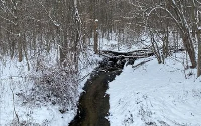 Macomb Township Winter Photo Contest