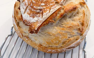 Sourdough for Beginners: A Hands-On Dough Party!