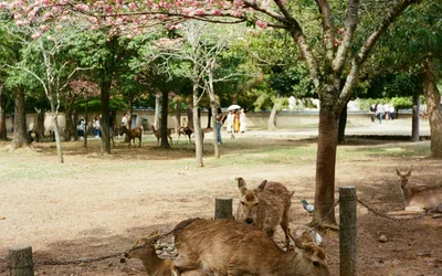 Spring Break Week at Boulder Ridge