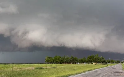 Statewide Tornado Drill