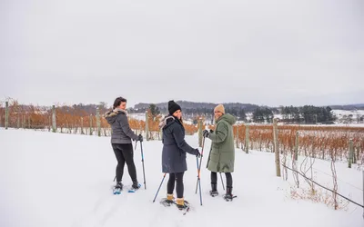 Top Things To Do in Traverse City