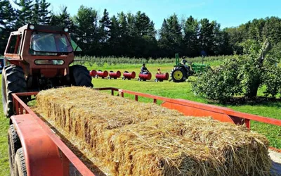 Aamodt Apple Harvest Weekend