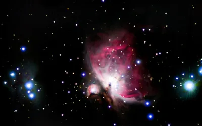 DINO SOARS! CHANGE OVER TIME