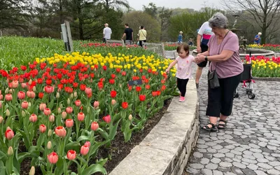 Fall Arboretum Drop-In Discovery Booths