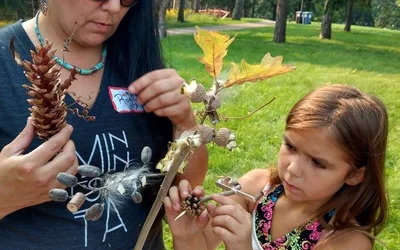 Fall Sound Garden Workshops and Live Performances