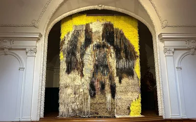 Handwoven: Between Chaos and Order