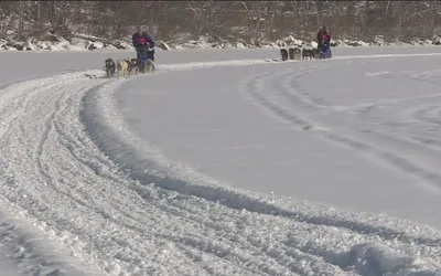 Klondike Dog Derby
