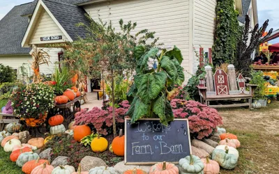 LuceLine Orchard Fall Fun