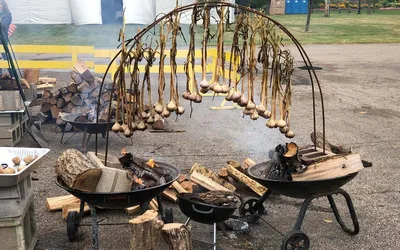 Minnesota Garlic Festival