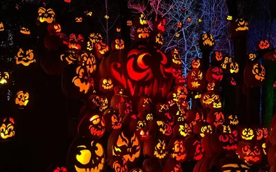 Minnesota Zoo Jack-O-Lantern Spectacular