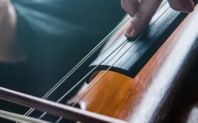 MN Orchestra Pre-concert Event