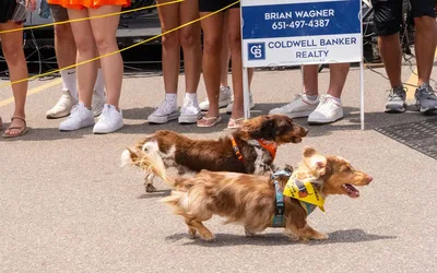 Paws on Grand