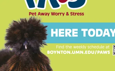 PAWS - West Bank - Law School Spannus Commons - Ruby the cat