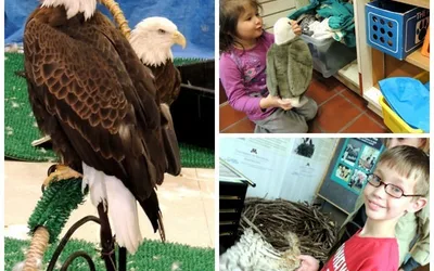 Raptor Encounters Tour