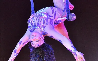 Royal Canadian International Circus