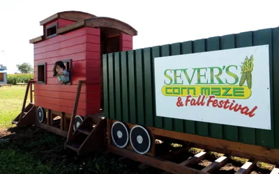 Sever's Corn Maze & Fall Festival