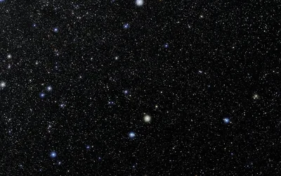 Statewide Star Party
