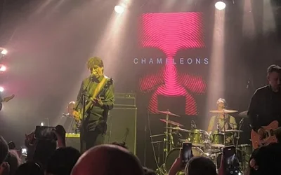 The Chameleons