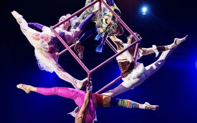 Whimsy at Circus Juventas