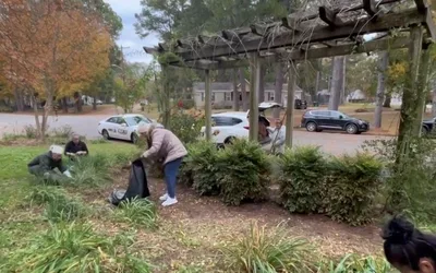 Cat Memorial Garden Unveiling