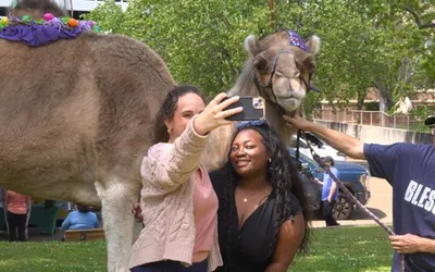 Downtown in Bloom spring series