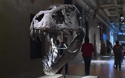 Jurassic Journey exhibit at Union Station