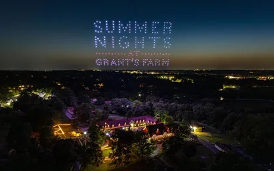 Summer Nights