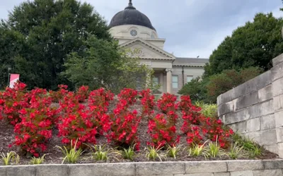 Young Writers’ Studio