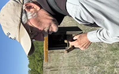 Bluebird Box Check Field Trip