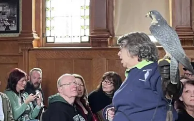 Castlecore Spectacular