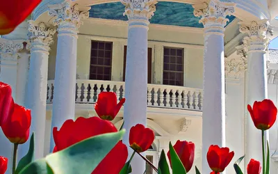 Easter Traditions & Egg Hunt at Arbor Lodge