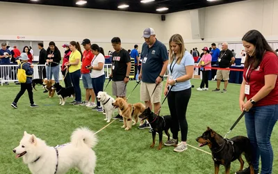 Husker Valley Cluster Dog Show
