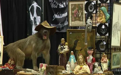 Oddities & Curiosities Expo