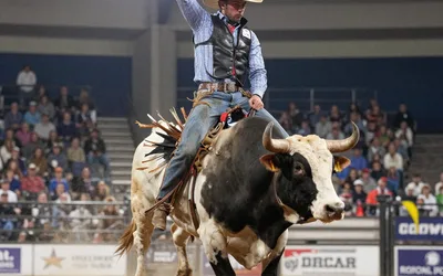 River City Rodeo