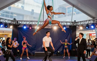 Venardos Circus