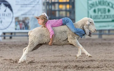 58th Annual Lincoln County Fair & Rodeo