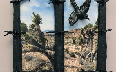 Beyond the Fence: Artwork by Robin Stark