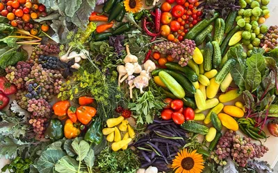 Grateful Harvest Dinner Auction