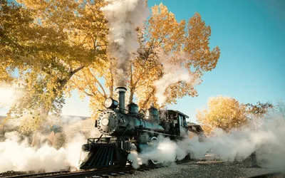 Harvest Train Ride Event
