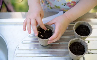 Plant It Forward