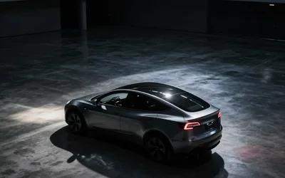 Wolf Pack Shadow - Tesla