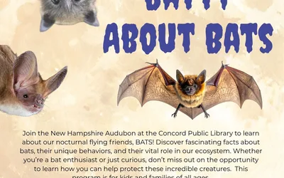 Batty About Bats