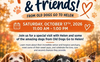 Meet Helen & Friends!