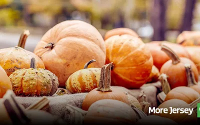 Fall Festival at Scholer Park