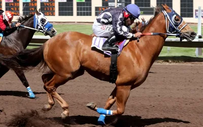 The Carlos Salazar Stakes
