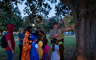 Celtic Halloween Tree Tales