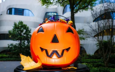 Halloween at the Natural History