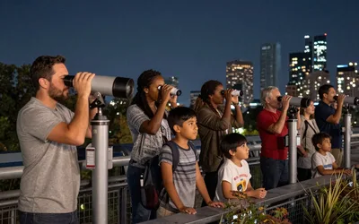 Stargazing on the High Line