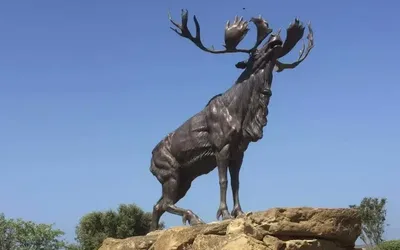 Presentation and Launch of WWI War Brides Project