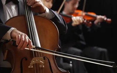 ART AND BLOOM 23rd ANNUAL EXHIBIT